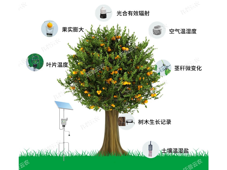 植物生理生態監測系統
