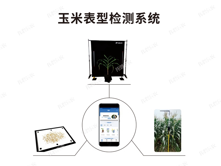 玉米表型檢測系統
