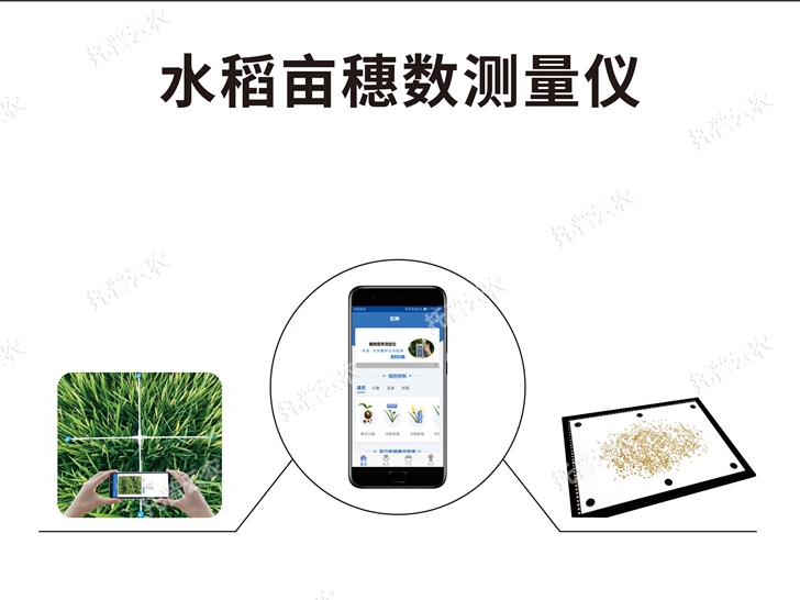 水稻畝穗數測量系統